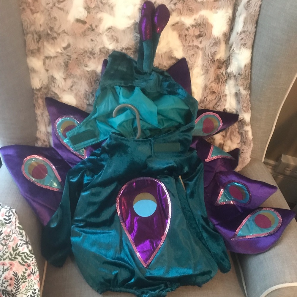Brand new peacock costume